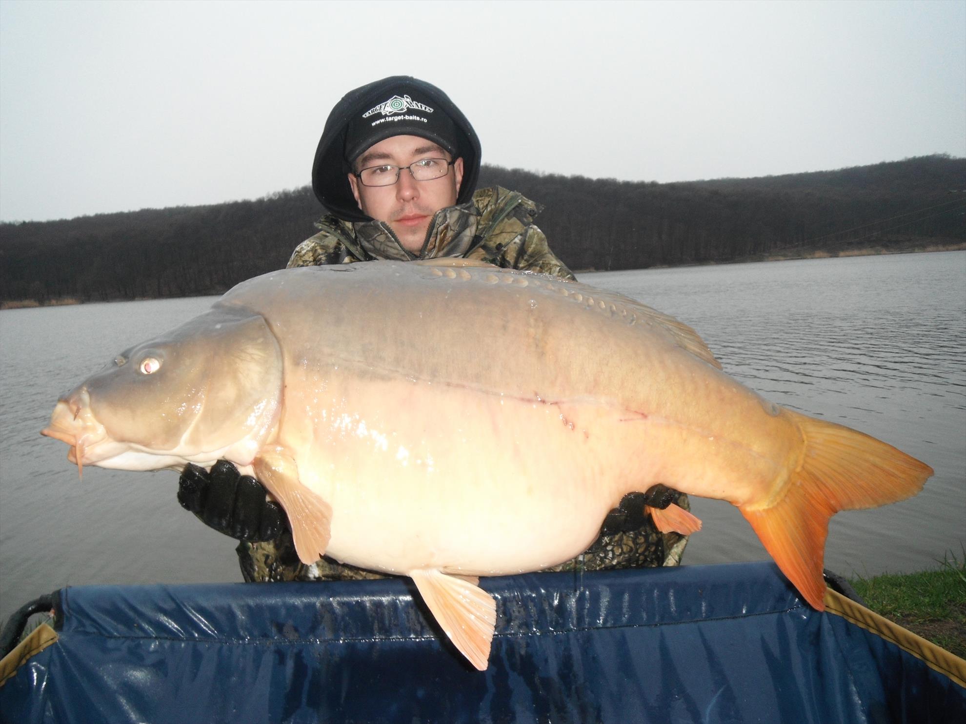 Martie 2013 - Harsany - Martie 2013